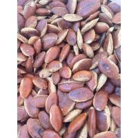 ราคา กระบกหวานมัน คั่วแล้วพร้อมรับประทาน พร้อมส่ง (27072766835)