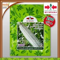 ราคา เมล็ดพันธุ์ ข้าวโพดข้าวเหนียวหวาน สวีทไวท์ 25 F1 (200 กรัม) เมล็ดข้าวโพดหวานศรแดง เมล็ดพันธุ์ผักสวนครัว ตราศรแดง (8916872959)