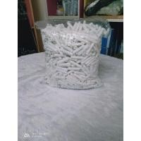 ราคา พุกพาสติก เบอร์7 พุกพลสติก M7 (บรรจุ1กิโลกรัม) (11302184346)