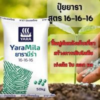 ราคา ปุ๋ยยารามีร่า 16-16-16 เร่งต้น เร่งใบ เร่งดอก เร่งแตกยอด ปุ๋ยสูตรเสมอ ฟื้นฟูต้นหลังเก็บเกี่ยว แบ่งขาย (29057458068)