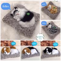 ราคา ไลฟ์ลด30% ตุ๊กตาดูดกลิ่น ตุ๊กตาดับกลิ่น ตุ๊กตาแมว-หมาดูดกลิ่น น้องมีเสียงทุกตัว น่ารักเหมือนจริงมากๆ มีให้เลือกหลายลาย (4766257352)