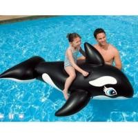 ราคา แพยางปลาโลมา (166610048)