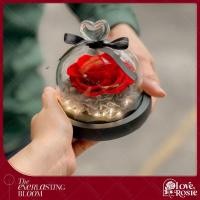 ราคา Love, Rosie กุหลาบในโหลแก้วหัวใจมีไฟในตัว กุหลาบในโดมแก้ว กุหลาบอมตะ Preserved Rose ของขวัญวาเลนไทน์ (21788429221)