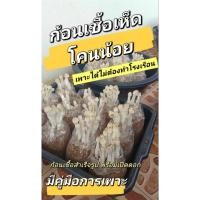ราคา ก้อนเชื้อเห็ดโคนน้อย 6 ก้อน พร้อมคู่มือ (26371467565)