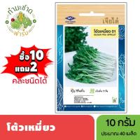 ราคา เจียไต๋ (ซื้อ10แถม2) เมล็ดพันธุ์ โต้วเหมี่ยว ขนาด10กรัม ประมาณ40เมล็ด Sugar Pea Sprout ต้นอ่อนถั่วลันเตา เมล็ดพันธุ์พืช (6817999513)