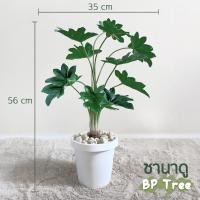 ราคา ซานาดูปลอม ต้นไม้ประดิษฐ์ ต้นไม้ปลอม (12730485435)