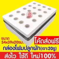 ราคา *ค่าส่งถูก* กล่องโฟมปลูกผัก เจาะรู กล่องโฟม ลังโฟม ปลูกผักไฮโดร กล่องใส่กุ้ง กล่องลังโฟม กล่องกุ้ง 10กก ไฮโดร clearance (20872634267)