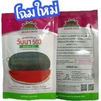 ราคา เมล็ดพันธุ์แตงโม วันนา503 ทรงตอปิโด ตราตะวันต้นกล้า ขนาด 40 กรัม (29921339061)