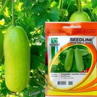 ราคา เมล็ดแฟง มี 50 เมล็ด เมล็ดแฟงไส้ตัน เมล็ดแฟงอ่อน เมล็ดแฟงแก่ เมล็ดแฟงศรแดง เมล็ดแฟงงาช้าง เมล็ดพันธุ์แฟง เมล็ดฟักแฟง 12 (12258958414)