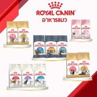 ราคา Royal Canin โรยัล คานิน อาหารแมว [บริติช ช็อตแฮร์] [เปอเซีย] [ลูกแมว] [แมวโต][Fit][ป้องกันก้อนขน] แบบเม็ด 2 กิโลกรัม (22523455585)