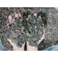 ราคา เมล็ดพยุงไหหลำ พะยูงไหหลำแท้100% (ชุดละ70บาท) (5609612491)