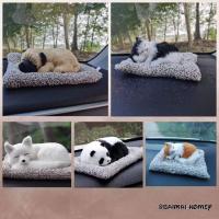 ราคา ตุ๊กตาหมาดูดกลิ่น สุนัขดูดกลิ่น ตุ๊กตาแมวดูดกลิ่น น้องหมาดูดกลิ่น น้องแมวดูดกลิ่น ดูดกลิ่นอับในรถ ดูดกลิ่นในบ้าน (9122751294)