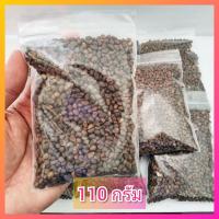 ราคา เมล็ดผักบุ้งจีน 110 กรัม ต้นอ่อนผักบุ้ง เมล็ดผักบุ้ง ผักบุ้งจีนเรียวไผ่ ผักบุ้งงอก (6839409651)