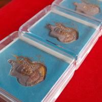 ราคา เหรียญที่ระลึกพระนเรศวรมหาราช ชุบสามกษัตริย์ รุ่น สู้ หลัง สก เนื้อชุบ 3 K แจกกรรมการ สร้างน้อย พระสวยตามปกกล่องเดิม (21106771792)