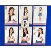 ราคา BNK48 Mewnich Photoset Debut + เข็มกลัด (20781499036)