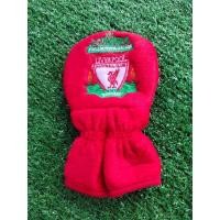ราคา ที่หุ้มเกียร์ในรถยนต์ลายลิเวอร์พูลLiverpool (11551298413)