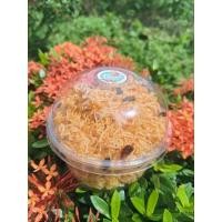 ราคา หมี่กรอบ หมี่กรอบ3รส (26915929119)