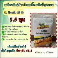 ราคา ดีคาล์บ 6818 เม็ด 3.5 หุน ( 10 กิโลกรัม) ข้าวโพดเลี้ยงสัตว์ ทนแล้งได้ ผลผลิตสูง ‼️ (24051190554)