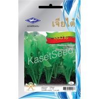 ราคา เมล็ดพันธุ์ ผักกาดเขียว ชุนฉ่าย เจียไต๋ ผักซอง (1540458392)