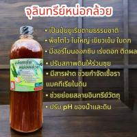 ราคา จุลินทรีย์หน่อกล้วย 1ลิตร ปรับให้ดินร่วนซุย มีฮอร์โมนออกซินพืชโตไว น้ำหมัก น้ำหมักจุลินทรีย์หน่อกล้วย น้ำหมักชีวภาพ (27374727493)