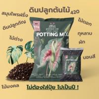 ราคา ดินปลูกต้นไม้ ดินพร้อมปลูก คุณภาพสูง (1kg) ดินปลูก420 ปลูกพืชได้ทุกชนิด สมุนไพร ไม้ดอก ผัก ไม้ด่าง ไม้ฟอกอากาศ (20023396925)