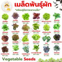 ราคา ส่งด่วน เมล็ดพันธุ์ ผักสลัด และ ผักไทย กรีนโอ๊ค เรดโอ๊ค บัตเตอร์เฮด เรดคอส กรีนคอส เบบี้คอส เคล ฯลฯ (17577928741)