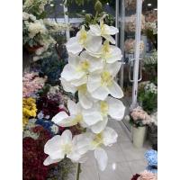 ราคา พร้อมส่ง ฟาแลน ก้านยาว XX10 สีขาวไส้เหลือง ดอกกล้วยไม้ กล้วยไม้ปลอม กล้วยไม้ประดิษฐ์ ดอกฟาแลน ฟาแลนปลอม ต้นกล้วยไม้ (18762215258)