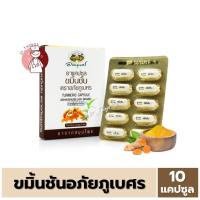 ราคา ขมิ้นชัน อภัยภูเบศร 400 มิลลิกรัม แผงละ 10 แคปซูล (25715453011)