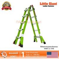 ราคา บันไดไฟเบอร์กลาส DARK HORSE 2.0 M22 รุ่น 16122-001 "LITTLE GIANT" (21484831569)
