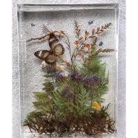 ราคา ✻น้ำยาเรซิ่น ทำเคส หล่อใส สูตรไม่ฉุน (ส่งฟรี) เคลือบใส (เคส เคลือบไม้ ไฟเบอร์ คาร์บอน เทพื้น ) Easy Resin (9469234907)