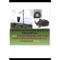ราคา ชุดน้ำยาฟีโรโมนล่อด้วงแรด+ถังล่อด้วง ใช้ในสวนมะพร้าว อินทผาลัม ปาล์ม (11547738650)