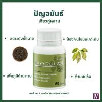 ราคา ปัญจขันธ์ (เจียวกู้หลาน) Jiaogulan จียวกู่หลาน สารสกัดจากเจียวกู่หลาน ชนิดแคปซูล (24269906261)
