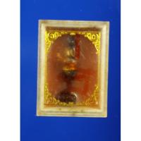 ราคา สีผึ้งกุมารดำคะนองฤทธิ์ ครูบาเดช สำนักสงฆ์ป่าช้าบ้านรัตนโกสินทร์ จ.ลำปาง เมตตา โชคลาภ ค้าขาย ดีมาก (6136664985)