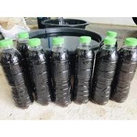 ราคา น้ำหมักมูลไส้เดือนแท้ 100% (3072561828)