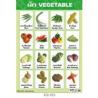 ราคา โปสเตอร์ โปสเตอร์ผัก #EQ-503 โปสเตอร์กระดาษอาร์ตมัน สื่อการเรียนการสอน สื่อการเรียนรู้ (9212717488)