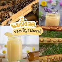 ราคา Royal jelly นมผึ้งสด นมผึ้ง (21800085513)