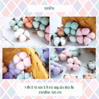 ราคา ดอกฝ้าย ดอกฝ้ายคละสี เซ็ท 10 ดอก 5 สี (6735692555)