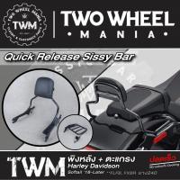 ราคา พิงหลัง+ตะแกรงหลัง (ปลดเร็ว) : Quick Release Sissy Bar Luggage Rack : Harley Davidson Softail Fatboy ,BreakOut (20623168915)
