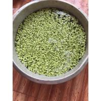 ราคา หน่อเหรียงลูกเหรียงชุมพร 3ขีด⚡️ (27523045636)