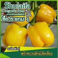 ราคา 3แถม1เมล็ดพันธุ์พริกหวานยักษ์ สีเหลือง 10เมล็ด เมล็ดพันธุ์พริกหวาน เมล็ดผักสวนครัว เมล็ดพริก (18570897484)