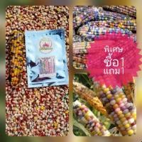 ราคา เมล็ด​พันธุ์​ข้าวโพด​อัญมณี​ ซื้อ​1แถม​1​ (3625060307)
