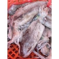 ราคา หมึกหอม หมึกหอมไม่ดองน้ำ (16958902832)