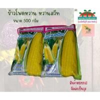ราคา เมล็ดข้าวโพดหวาน หวานสวีท ขนาด 500 กรัม (24250438215)