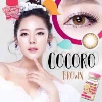 ราคา Kitty kawaii mini cocoro brown (14.2) (15170479208)