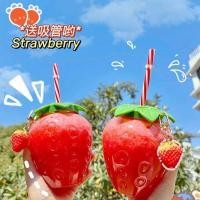 ราคา แก้วพลาสติกพร้อมฝาปิด รูปสตอเบอรี่+หลอด +พวงกุญแจสตอเบอรี่ ราคา 78฿ (4594297427)