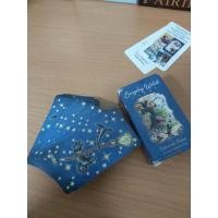 ราคา ไพ่ Everyday Witch Tarot Mini (14476557306)