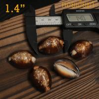 ราคา เปลือกหอยเบี้ย หอยเบี้ยแก้ หอยเบี้ยหัวงู Monetaria caputserpentis ขนาด 1.4" นิ้ว (19551236216)