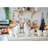 ราคา ตุ๊กตากระต่ายเรซิ่น แต่งบ้าน แต่งสวน (2 ตัว) (8477790025)