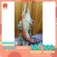 ราคา หมอน3ดี กุ้งเผาเหมือนจริง (3969977819)