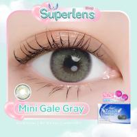 ราคา Mini Gale Gray คอนแทคเลนส์ Angel Zone ( รองรับสายตาปกติ และค่าสายตาสั้น -0.50 ถึง -10.00 ) (23818026674)